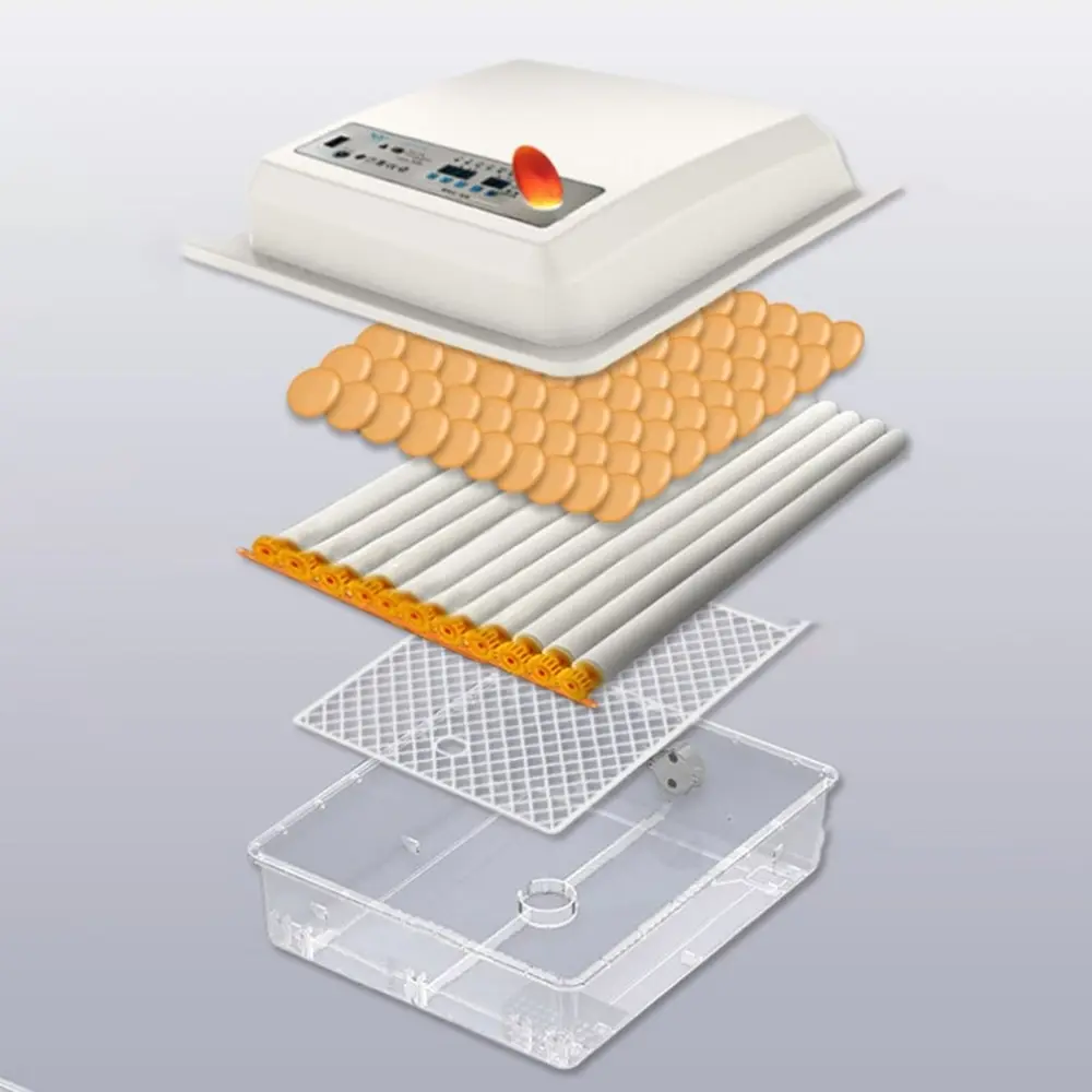 DZ75801-C-20081806-1