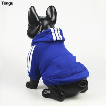 

Blue hoodie worn by buttons is suitable for medium and large Yorkshire sports and leisure cats to keep warm small dog hoodies