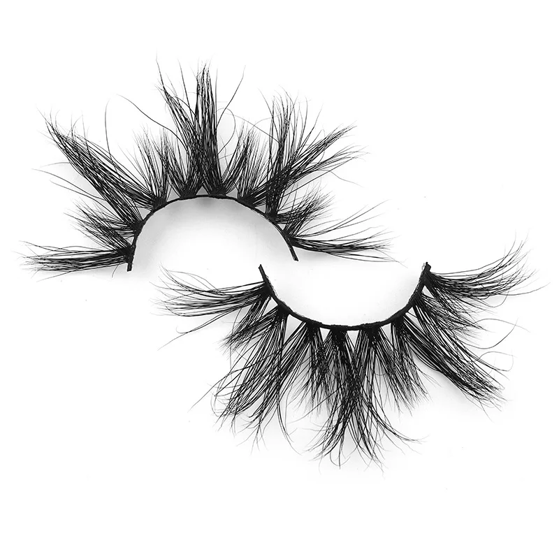 11475662884_1291557319