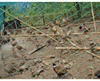 10m 20m,50m  Agricultural protection network  Gardening net  Garden fence Bird net Breeding net Customize your size ► Photo 2/6