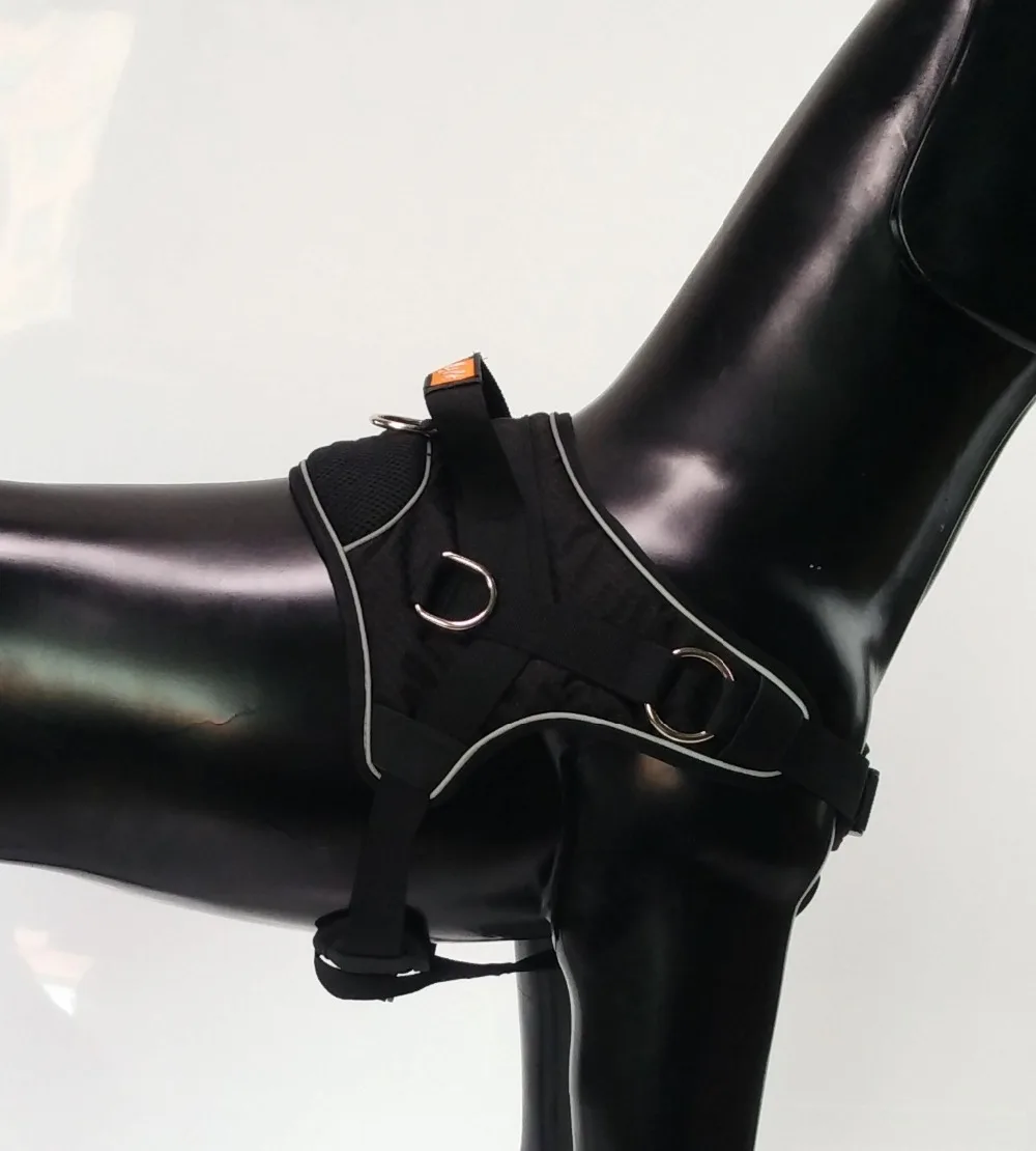 8996089897_635340076