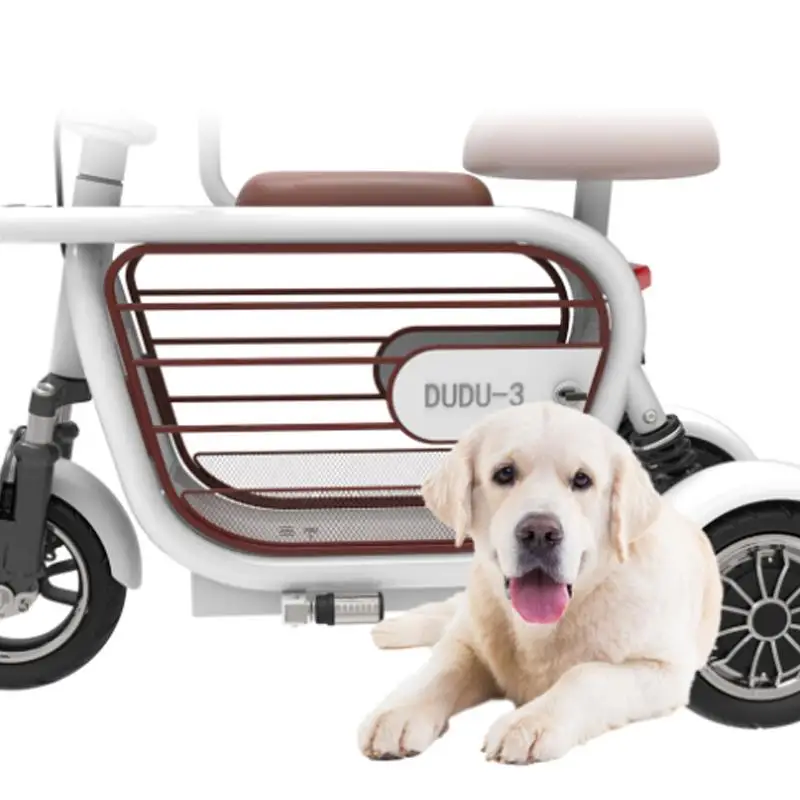 Electric Scooter Foldable Three Wheels Electric Bicycles 400W Parent Child 10 Inch Mini Electric Tricycle Pet Car