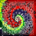Dye 5