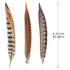10Pcs/Lot Natural Plume Lady Amherst Pheasant Feathers For Crafts Party Decoration Ringneck Pheasant Tail Feathers Wedding DIY ► Photo 3/6