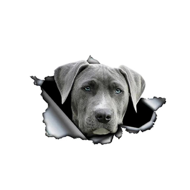 

13cm X 9cm Grey Weimaraner Car Sticker Torn Metal Decal Reflective Stickers Waterproof 3D Car Styling Pet Dog Decal KK Vinyl