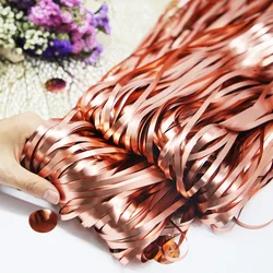 Rose Gold Metallic Foil Tinsel Fringe Curtain - Party & Event Backdrop Decoration - 3M(Length)x1M(Width) (Matte - rose gold)