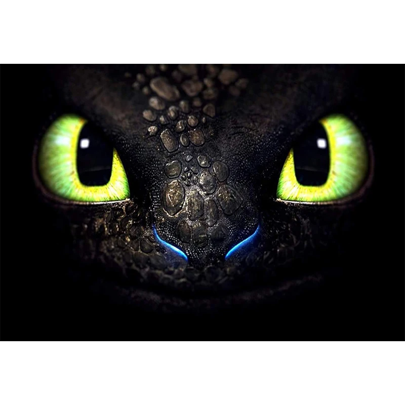 Full Square drill 5D DIY Diamond embroidery Dragon toothless Round Full