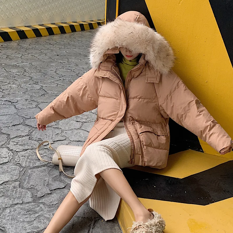 

Main Push Photo Shoot 2019 New Style Best Friend Korean-style Hooded Large Fur Collar CHIC down Jacket Cotton Coat WOMEN'S Coat