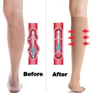 dd85e73e-3055-4d0e-a438-77d30b2f0db2._CR0,0,300,300_PT0_SX300__