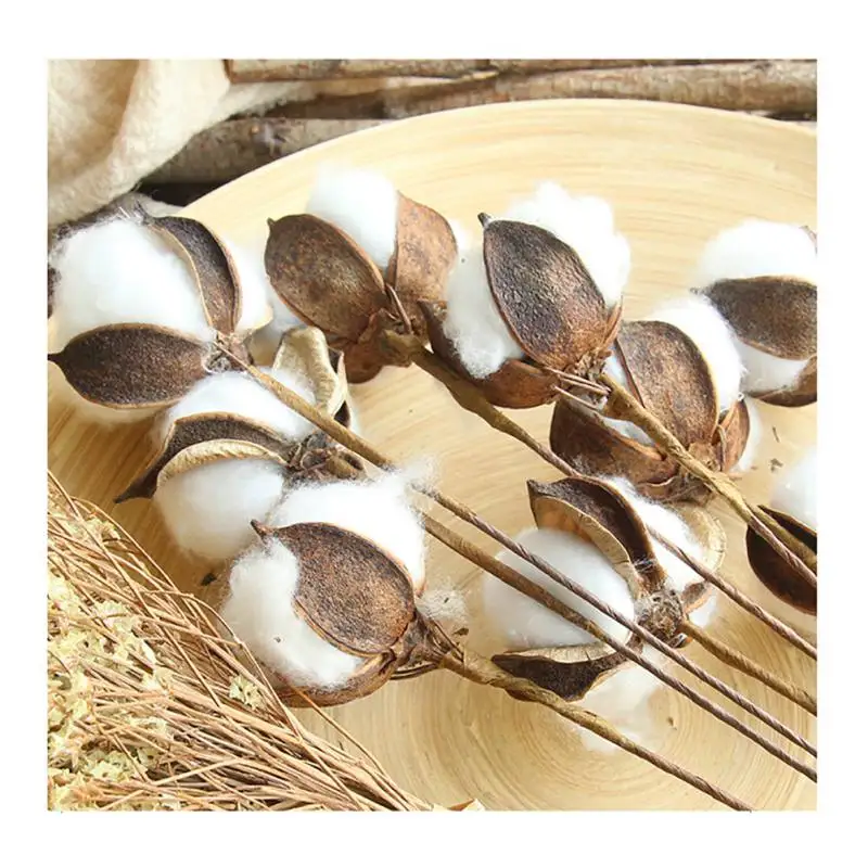 

Dried Cotton Stems Cotton Stems for Home Natural Flowers Wedding Party Decorative Dried Plants Decoration Branch