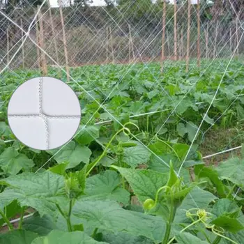 

Mesh 5/10m Heavy-Duty Polyester Netting For Morning Glory/Vine/Flowers/Garden Plants Square Network Plant Netting