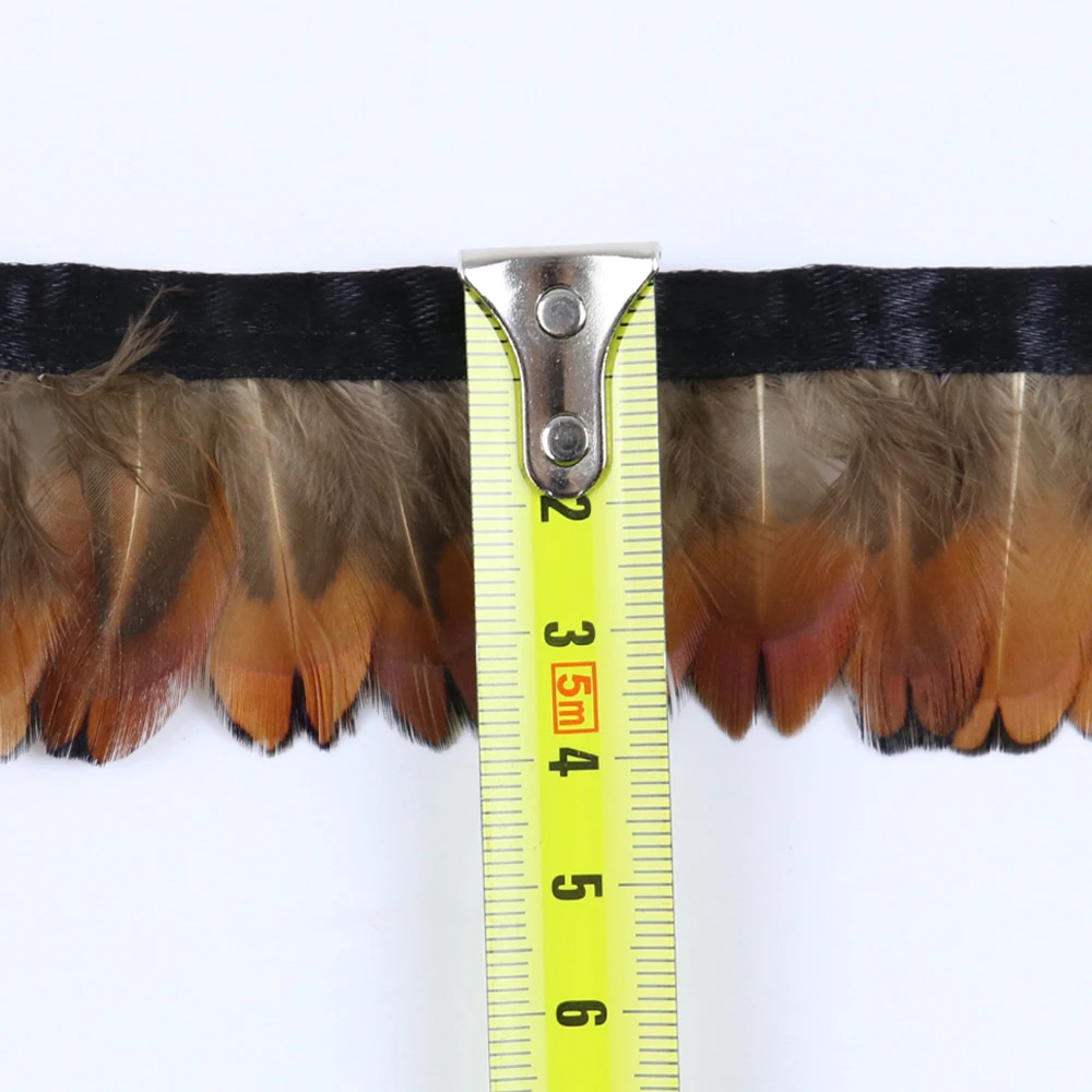 JB0609001 山鸡金经 4