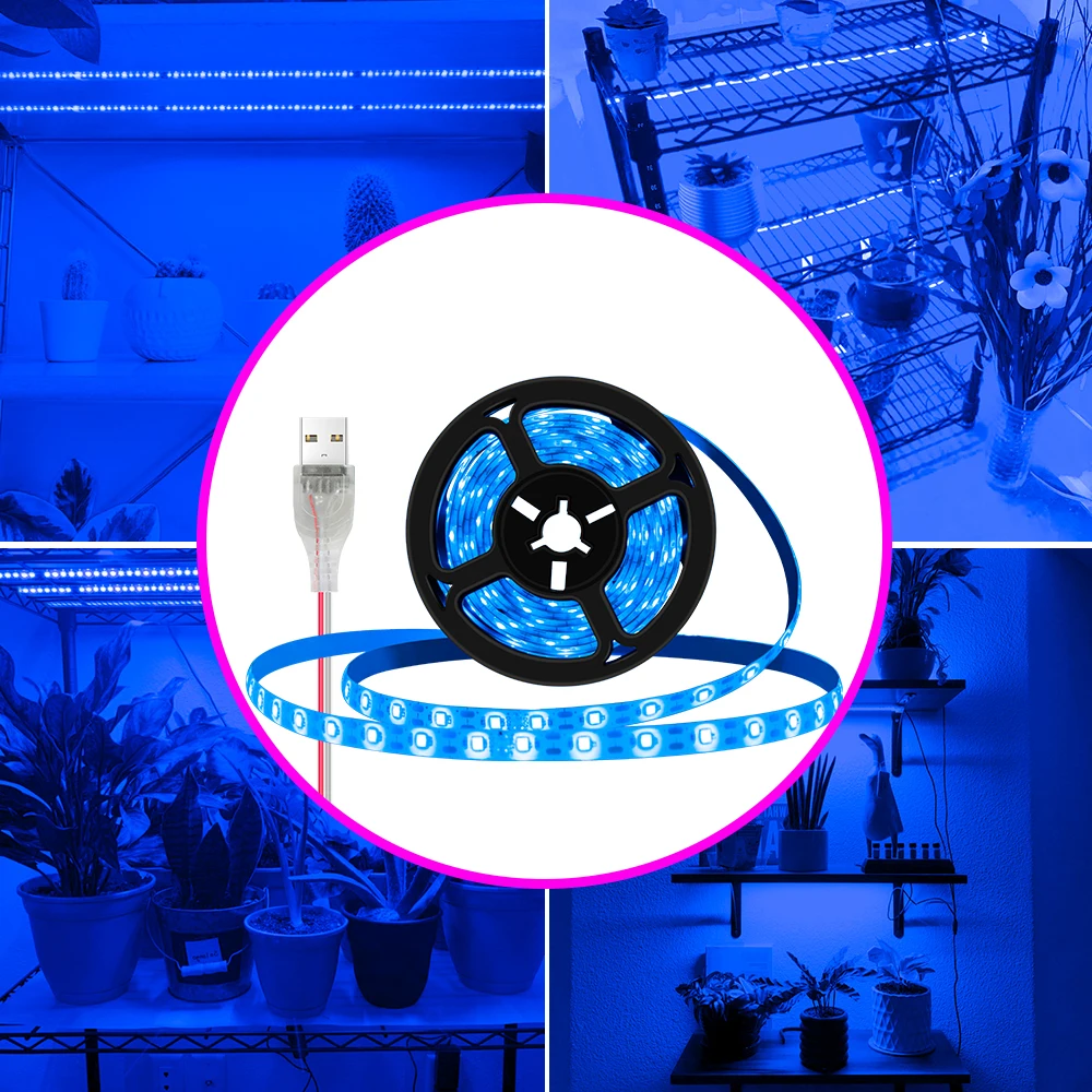 Рисунок 6 - Светодиодный цветок семена роста