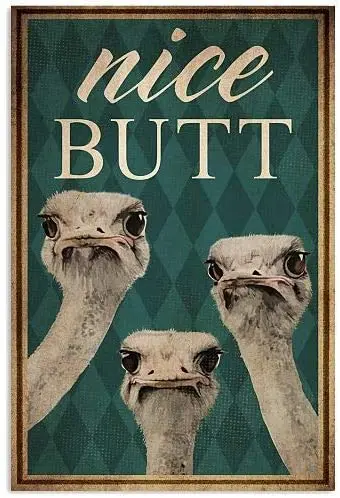 Poster Con Stampa In Banda Stagnata Spessa Poster In Latta Wall Art Decor Signs Nice Butt Retro Tin Metal Sign Vintage Wall Decor Targa In Metallo