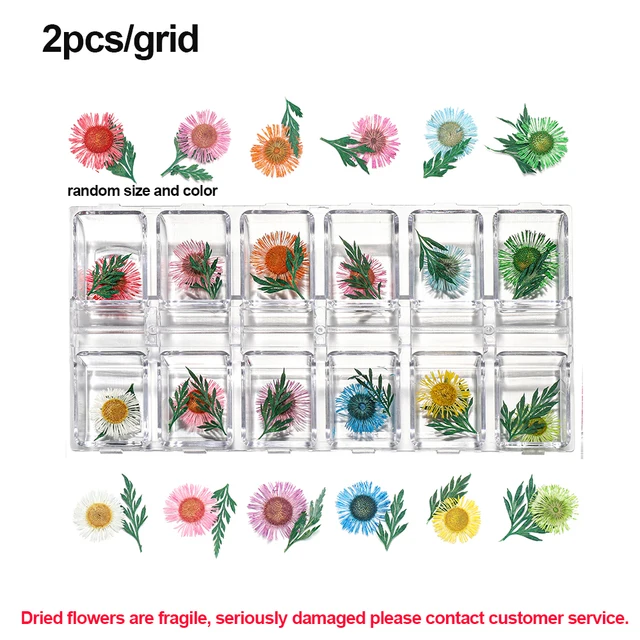 1Box Dried Flowers Dry Plants for Rsein Molds Fillings Epoxy Resin Pendant Tweezers Jewelry Making Craft DIY Nail Art Decoration Style21