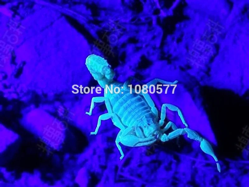 app113342536