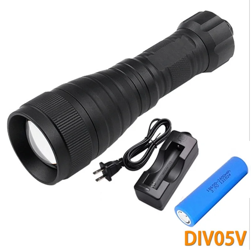 Brinyte DIV05V светодиодный видео свет CREE XML2 1000lm Светодиодный Подводный факел светодиодный фонарик Дайвинг 200 м подводный фонарь+ зарядное устройство для батареи