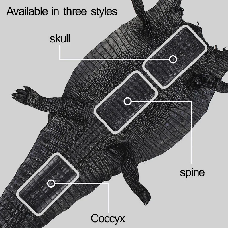 TFZ T X BEAR MONICA In Ear Monitor Professional