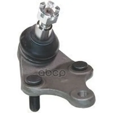 Ball Bearing | Front Right/Lion Toyota Avensis(T270) 09-Birth. CX0139