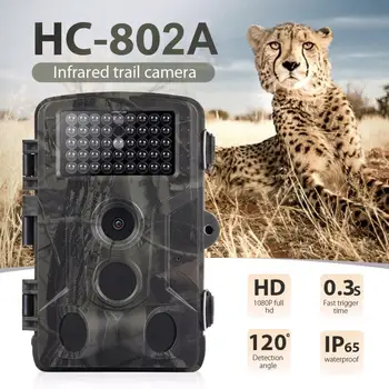 

16MP 1080P Outdoor Hd Hunting Camera Hc-802A Ir Waterproof Hunting Camera 16M Pixels 0.5 Second Start Hunting Camera