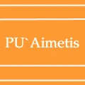 PU`Aimetis Camera Module Store