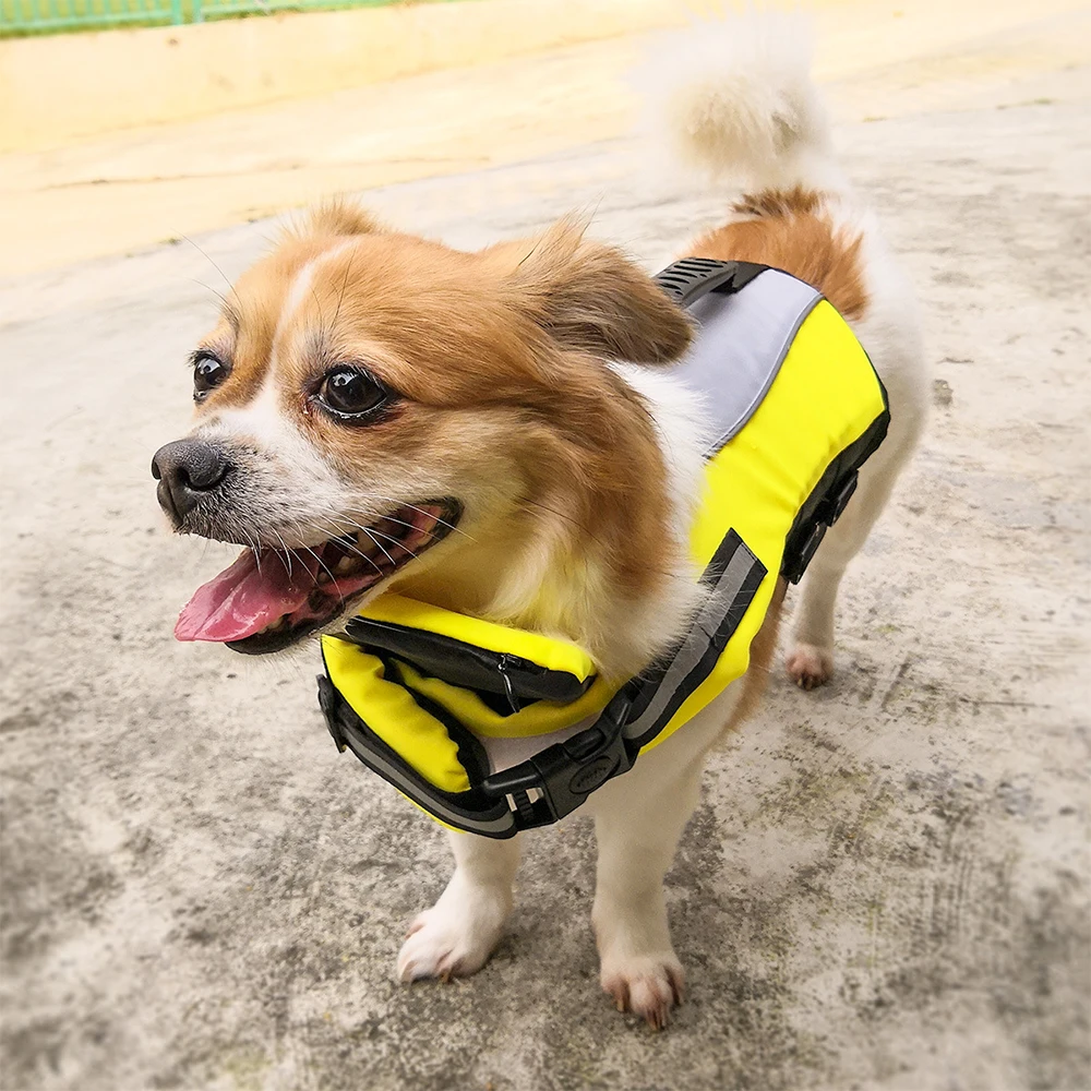 para cachorro de estimação, traje de banho