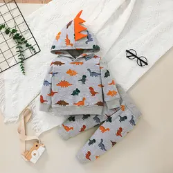 Ensemble sweat shirt à capuche et pantalon pour bébé, nouveau né, mignon, dinosaure, vêtements d'automne 