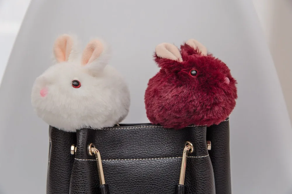 12108976748_1703499579