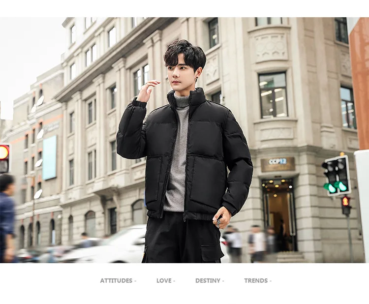 Men White Duck down Stand Collar down Jacket Winter Loose-Fit Handsome Trend INS Online Celebrity Popular Brand Students Short C