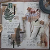 Autocollant flocons Scrapbooking Vintage plantes d'automne fleurs, étiquette décorative pour Journal intime, papeterie pour Album japonais ► Photo 1/6