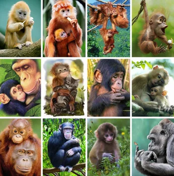 

Yikexin Diamond Embroidery Sale Animals Full Square Mosaic Diamond Painting Monkey Cross Stitch Kit Home Decoration