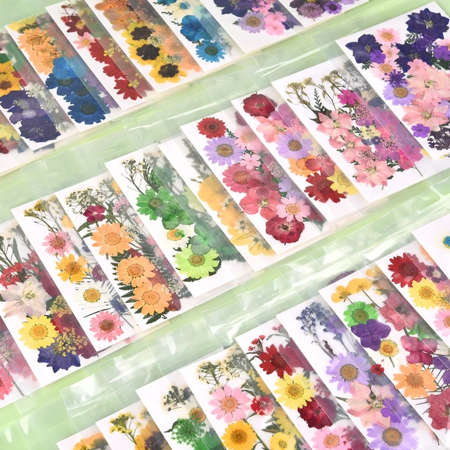 1Bag Dried Flowers Pressed Flowers Stickers for DIY Phone Case Epoxy Resin  Filling Pendant Jewelry Making Crafts Nail Art Decor - AliExpress
