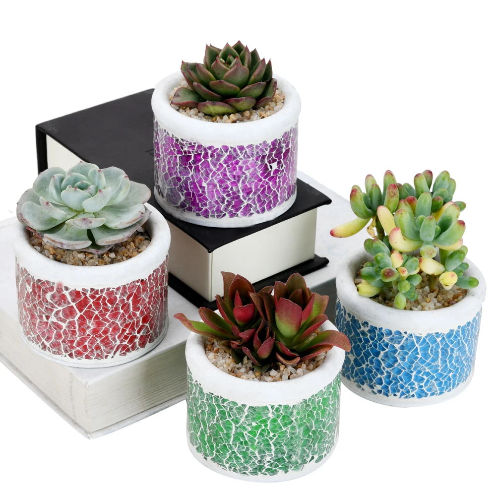 Mosaic Glassic Cement Succulent Cactus Planter Set of 4,Pretty Plants/Flower Pot Tiny Flower Plant Containers Perfect Gift Idea