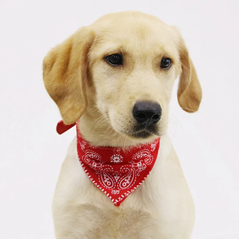 

Cute Pet Supplies Dog Collars Adjustable Jacquard Print PU Leather Neckerchief Dog Scarf Saliva Towel Bibs for Puppy Pet Cats