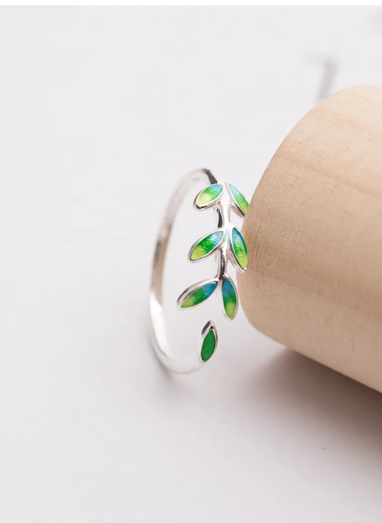 O1CN01Ye2Ol51xPjZBwM5DV_!!667356436