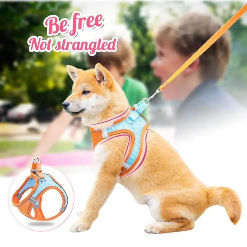 One Piece Vest Leash Reflective Dog Harness With Leash Breathable