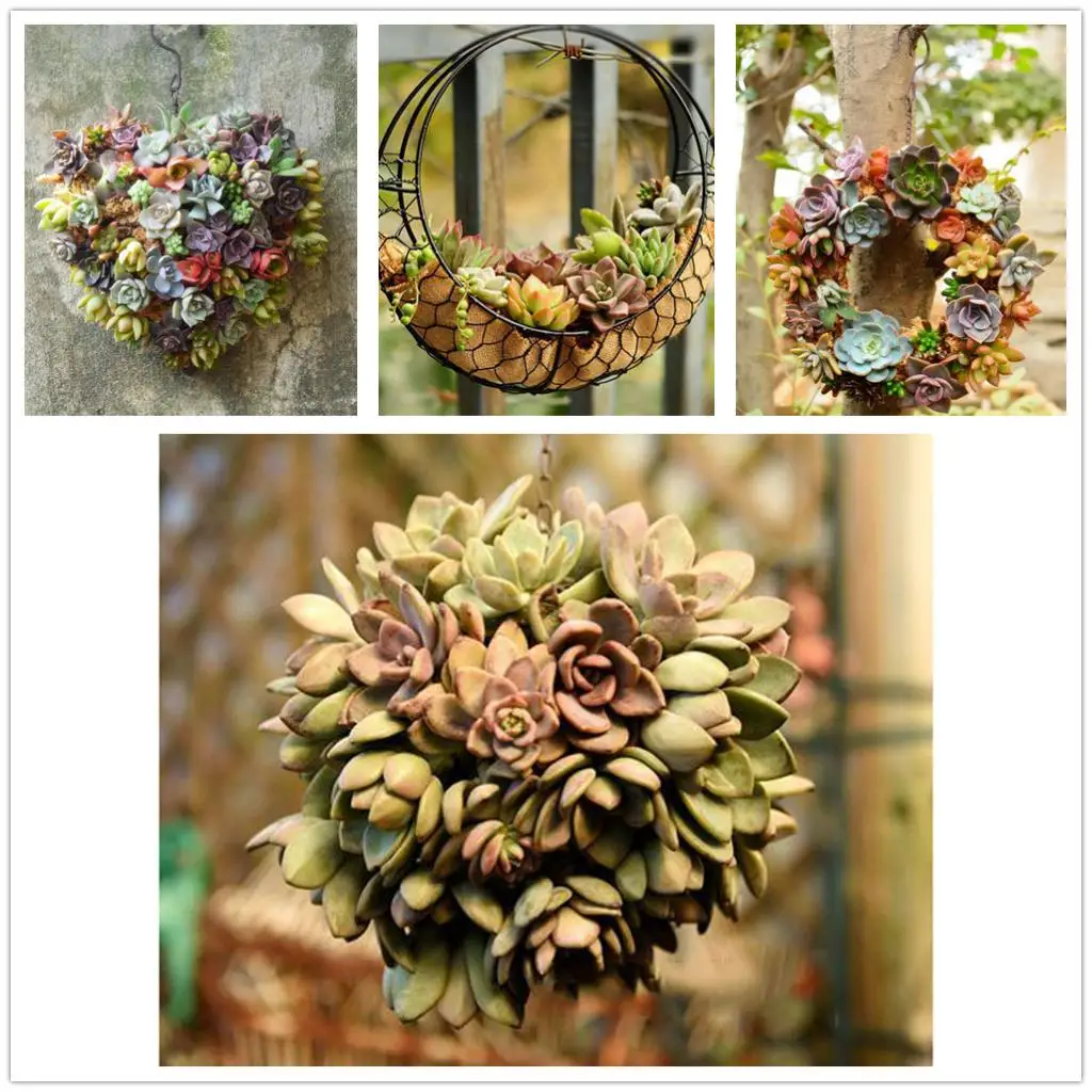 Iron Wire Wreath Frame Succulent Pot Metal Hanging Planter Plant Holder-Home/Cafe/Wedding/Party Decor Geat Gif
