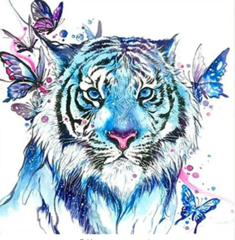 36020190327214616284