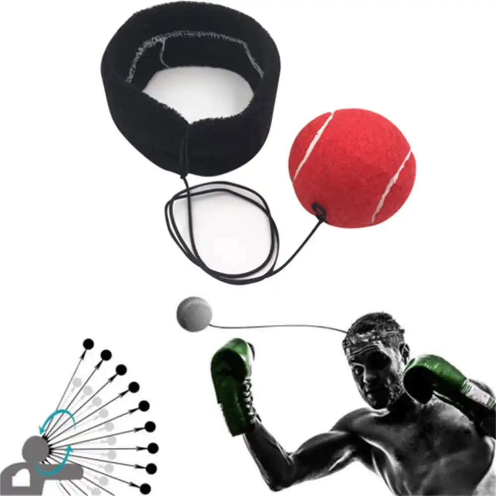 box training equipment