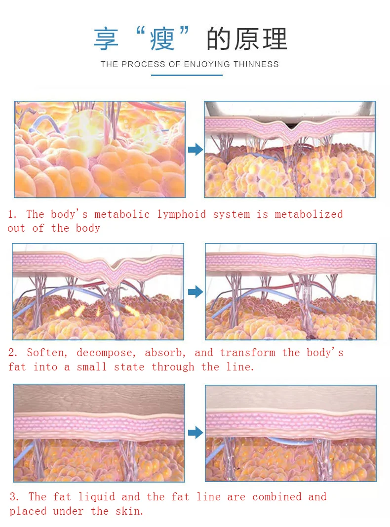 Липолизное вещество суперлиния холодное замораживание формирование тела тонкий вес потеря жира машина антицеллюлит растворить сжигание жира терапия