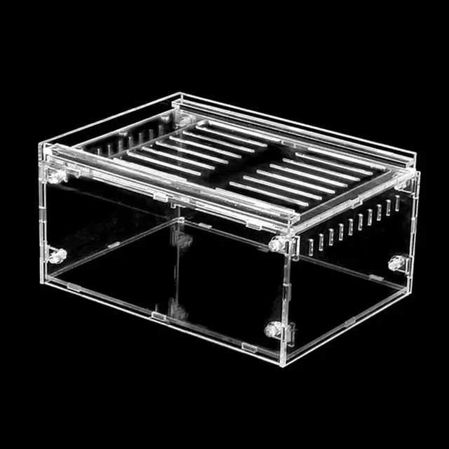 Breeding And Display For Spider Lizard Frog Cricket Turtle Urben Life Acrylic Reptile Box Reptile Insect Acrylic Mantis Breeding Box