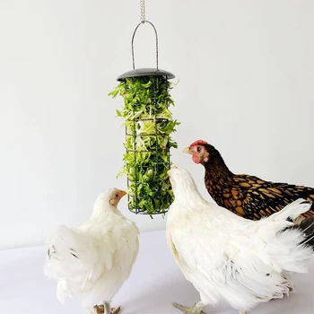 

Metal Chicken Feeder Basket Vegetable Fruit Veggie Hanging Coop Pigeon Chick Rooster Hen Fun Foraging Treat Box Feeding Tool