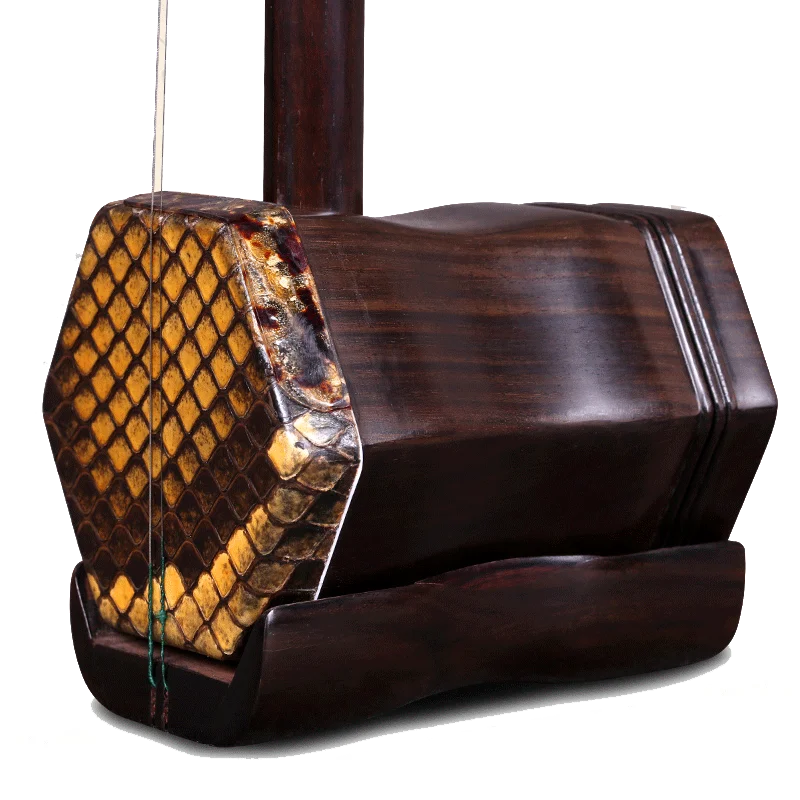 Erhu Instrumento Musical Profesional Chino Con Cuerdas De Erhu Caja De Arco Erhu Instrumentos Chinos Chinese Erhu Chinese Musical Instruments Erhuerhu Chinese Instrument Aliexpress