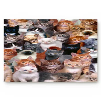 

Variety Animal Cat Pet Living Room Doormat Home Environmental Protection Bathroom Door Non-slip Floor Mat