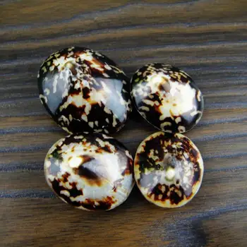 

Ocean Sea shells Wedding Decor Beach Theme Party, Seashells Home Decorations, Fish Tank,Candle Making sea star