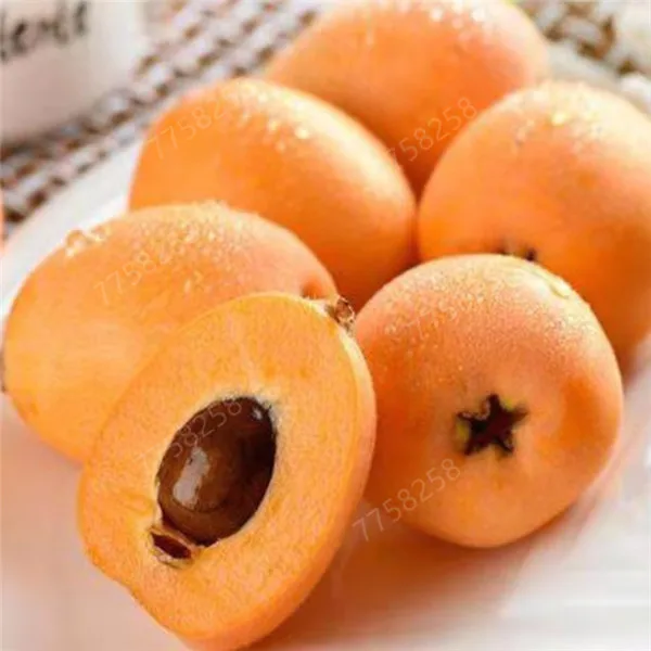 H673ad8d1684440b5860b3176a1a57a86E