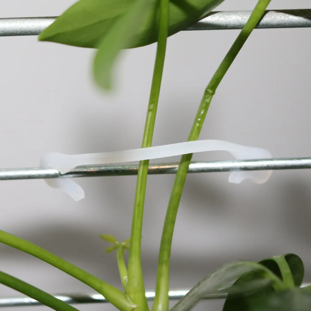 100 Pcs Garden Plants Flower Bundled Fixed Buckle Kiwi Tomato Cucumbers Grape Vines Fastener Greenhouse Orchard Grafting Clamps plant ties,plastic plant cable ties,plant clips,plastic plant clips