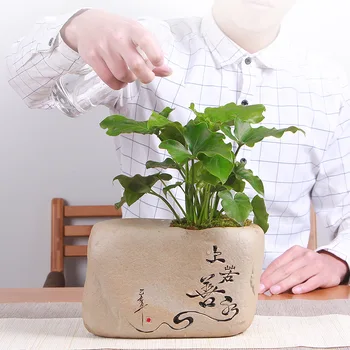 

Chinese Style Retro Plant Flower Pot Creative Large-scale Hydroponic Flower Ornaments Burning Crude Stone Pots