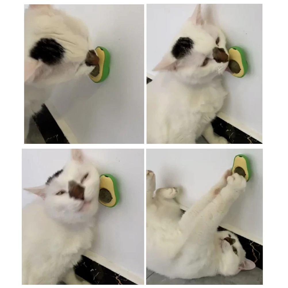 Pet Ball Avocado Catnip Toy Healthy Natural Catnip Mint Cats for Kitten Treating Home Chasing Game Cleaning Molar Teeth Toy