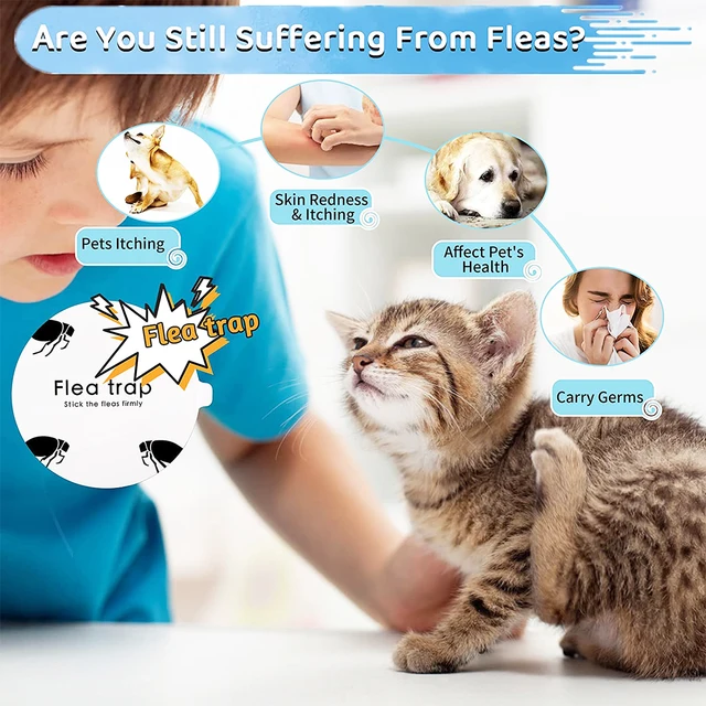 5Db Eldobható Bolhacsorda-Matricák Újratölti A Csere Párnák Nem Mérgező Ragasztó Tárcsát Hibákhoz Legyek Bolhák Szúnyogok Védik Kedvtelésből Tartott Kutyákat - Image 5
